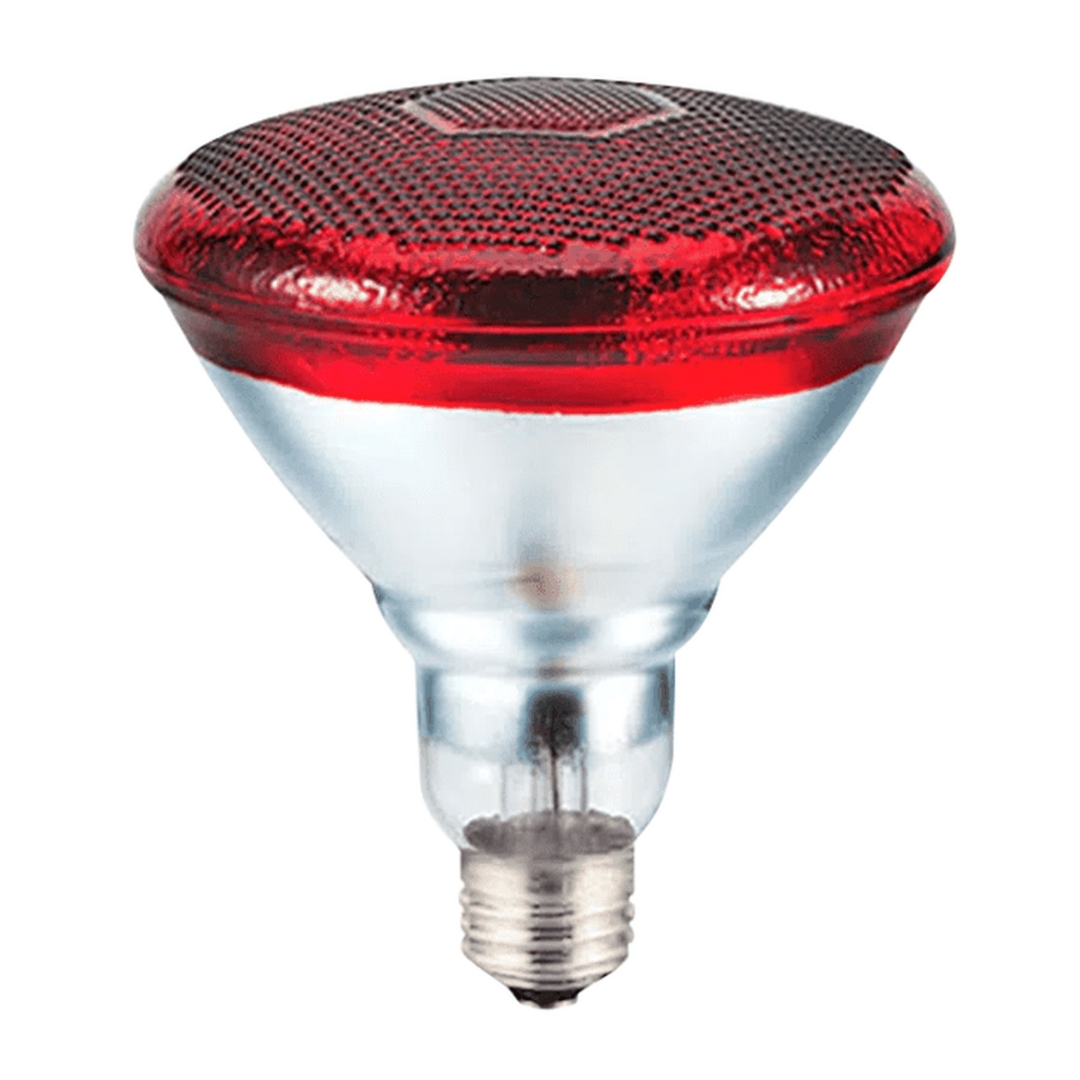 LAMPADA DE INFRA VERMELHO INFRATERM CARCI