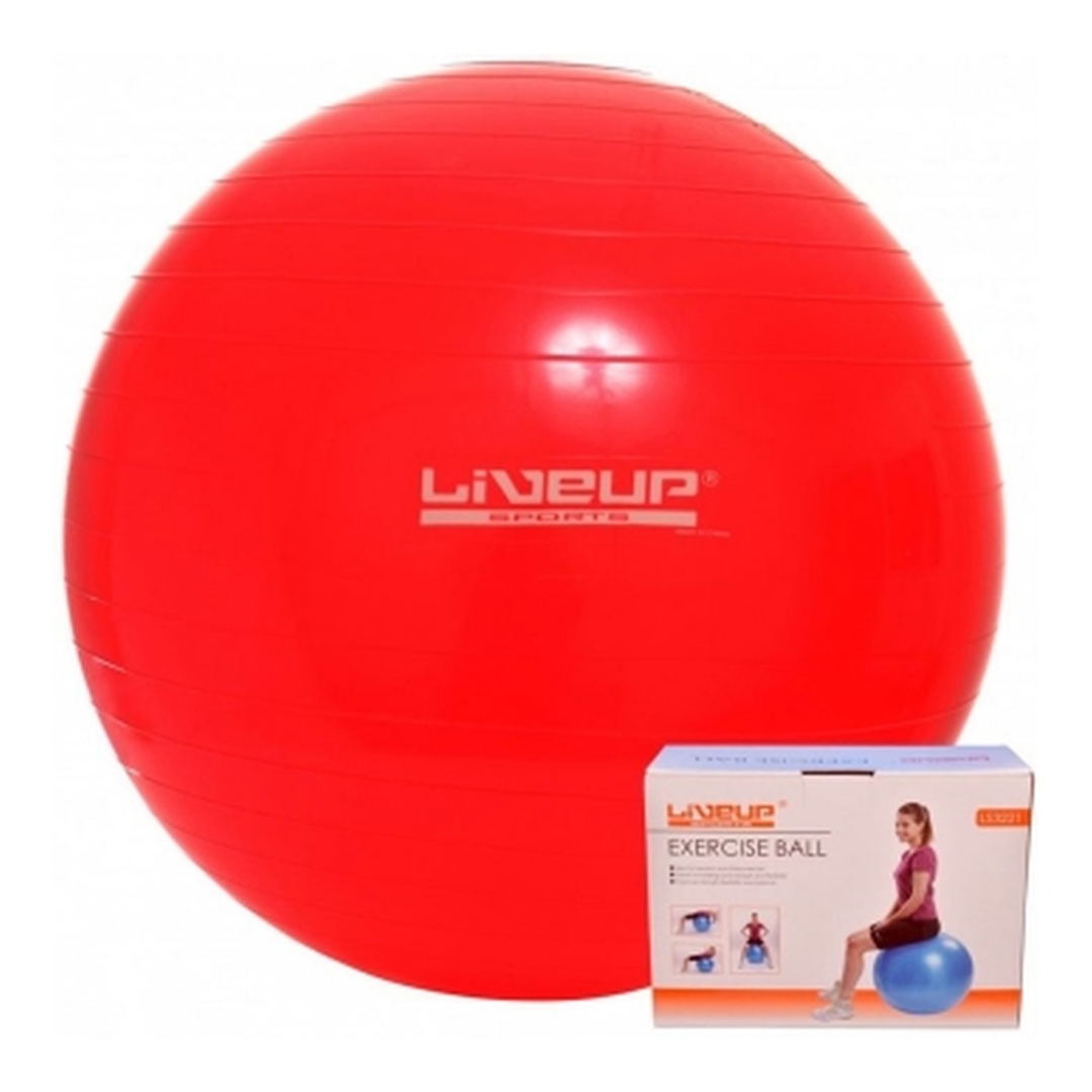 BOLA SUIÇA P/ PILATES 45CM PURYS
