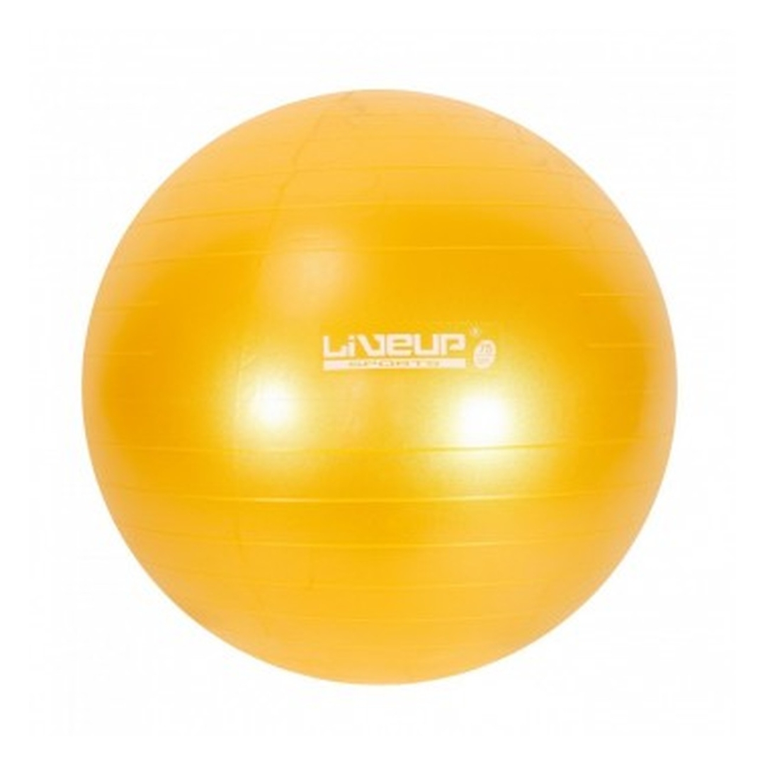 BOLA 75CM COM BOMBA DE ENCHER PURYS