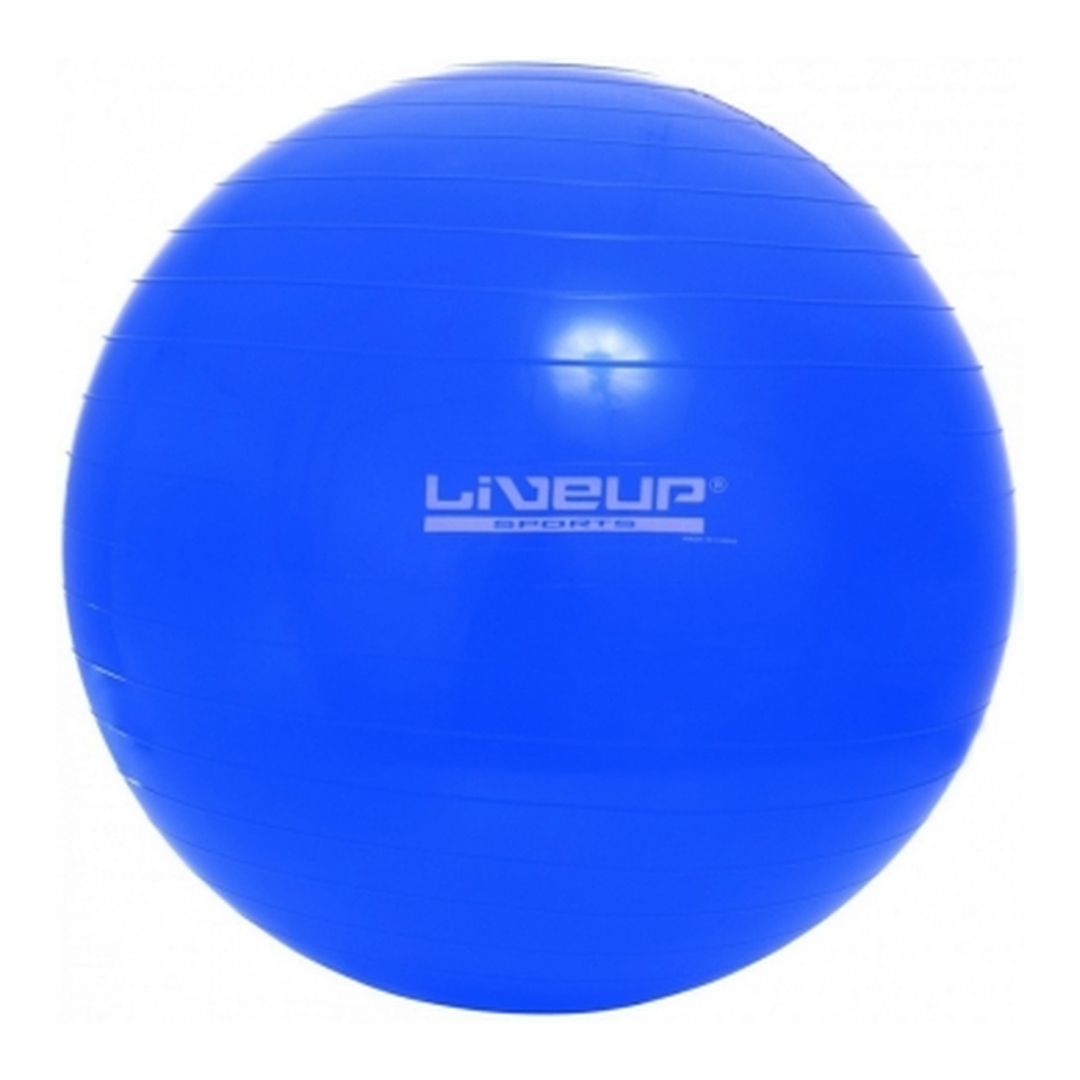BOLA 65CM PURYS