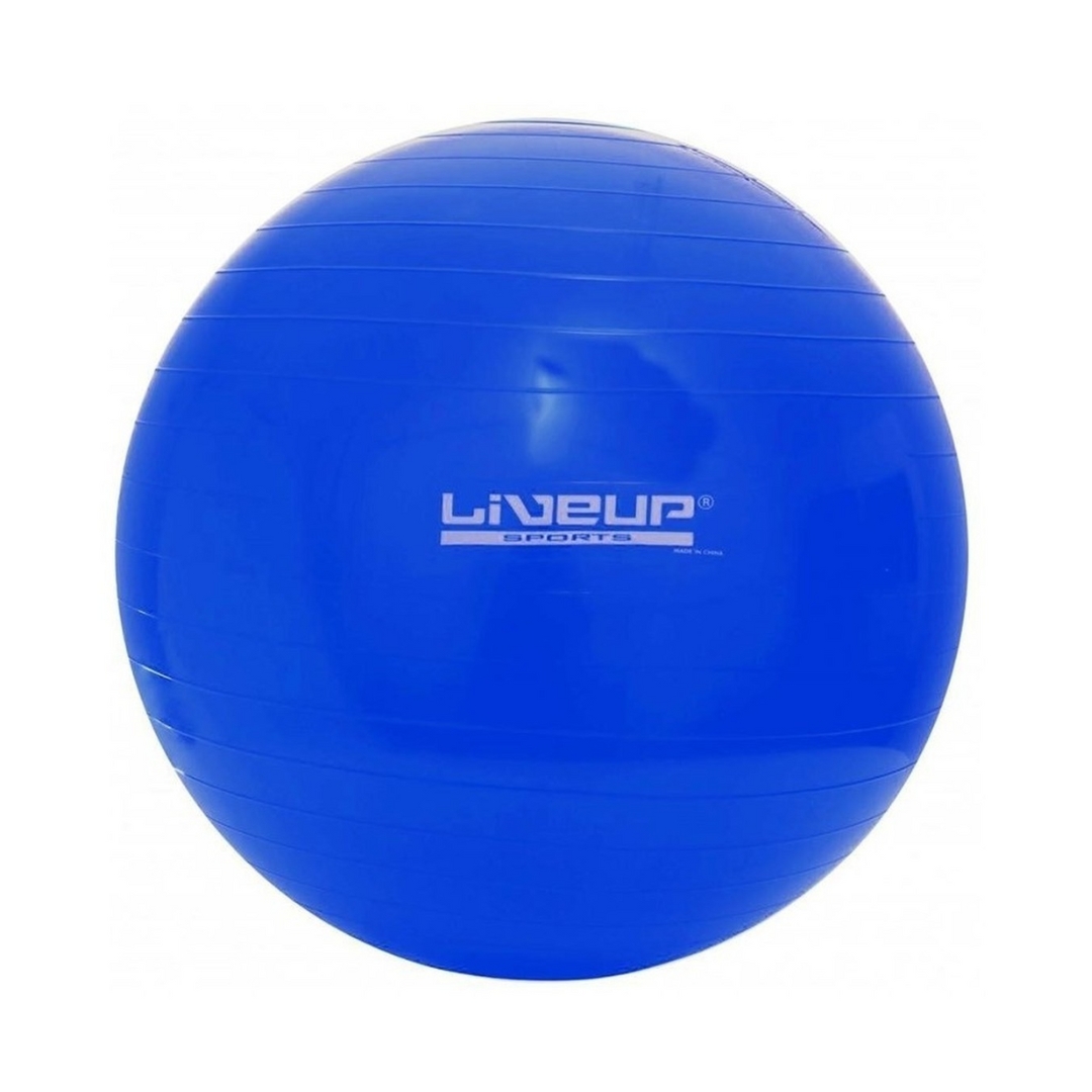 BOLA 65CM PREMIUM COM BOMBA DE ENCHER PURYS