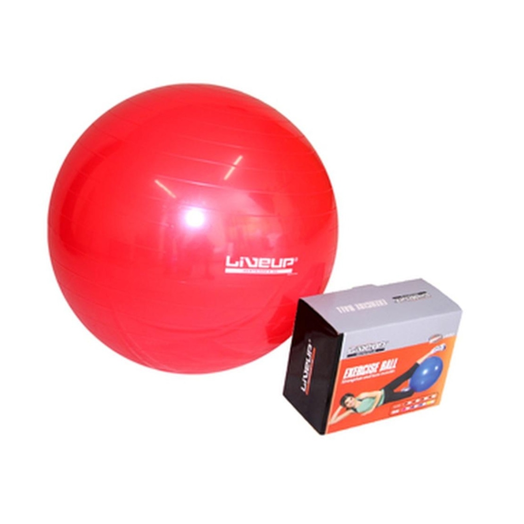 BOLA 45CM PREMIUM COM BOMBA DE ENCHER PURYS