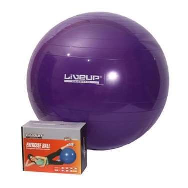 BOLA SUIÇA 55CM PREMIUM COM BOMBA DE ENCH...