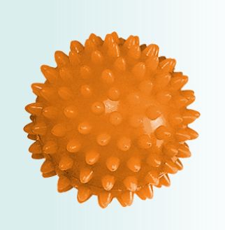FISIOBOL MASSAGEM PBD10 (POINT BALL) CARCI